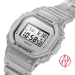 ساعت مچی کاسیو جی شاک Casio G-Shock مدل DW-5600FF-8DR سری Forgotten Future