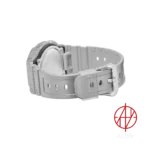 ساعت مچی کاسیو جی شاک Casio G-Shock مدل DW-5600FF-8DR سری Forgotten Future
