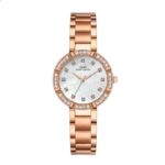 ساعت زنانه ایبسو IB8823L-RoseGold-White